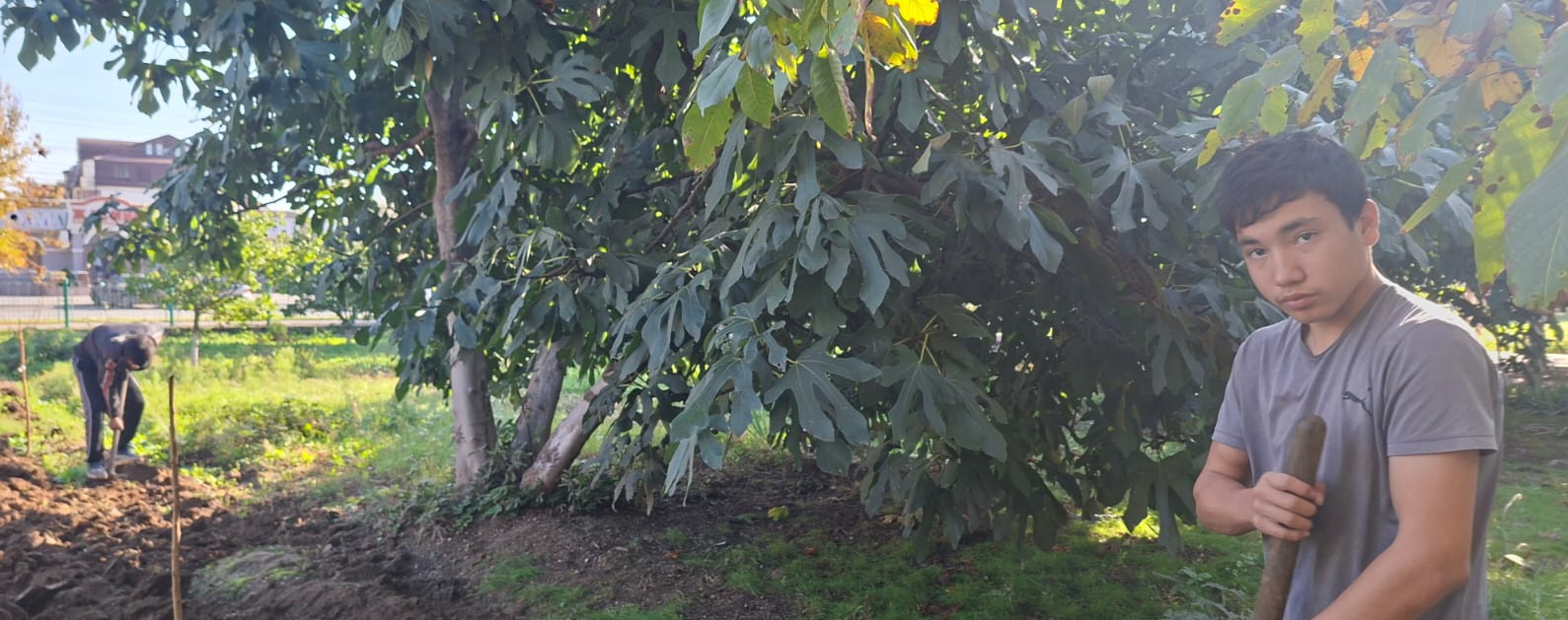 Субботняя акция "Чистый двор"