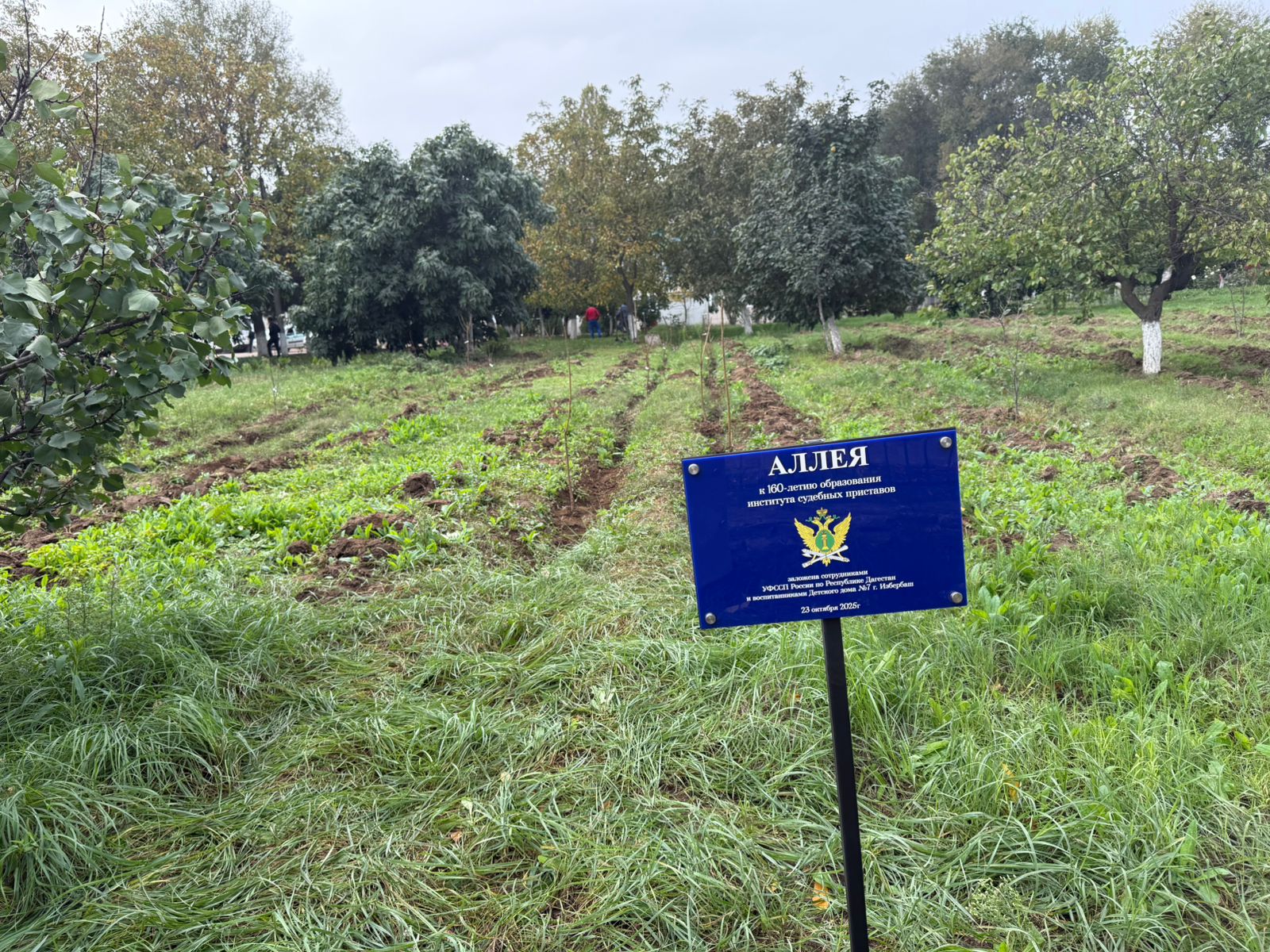 Сотрудники Управления Федеральной службы судебных приставов по Республике Дагестан в Детском доме №7 г.Избербаша провели акцию «Посади дерево!»