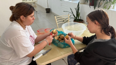 Домоводство как метод социально-бытовой реализации детей и подростков в условиях детского дома.