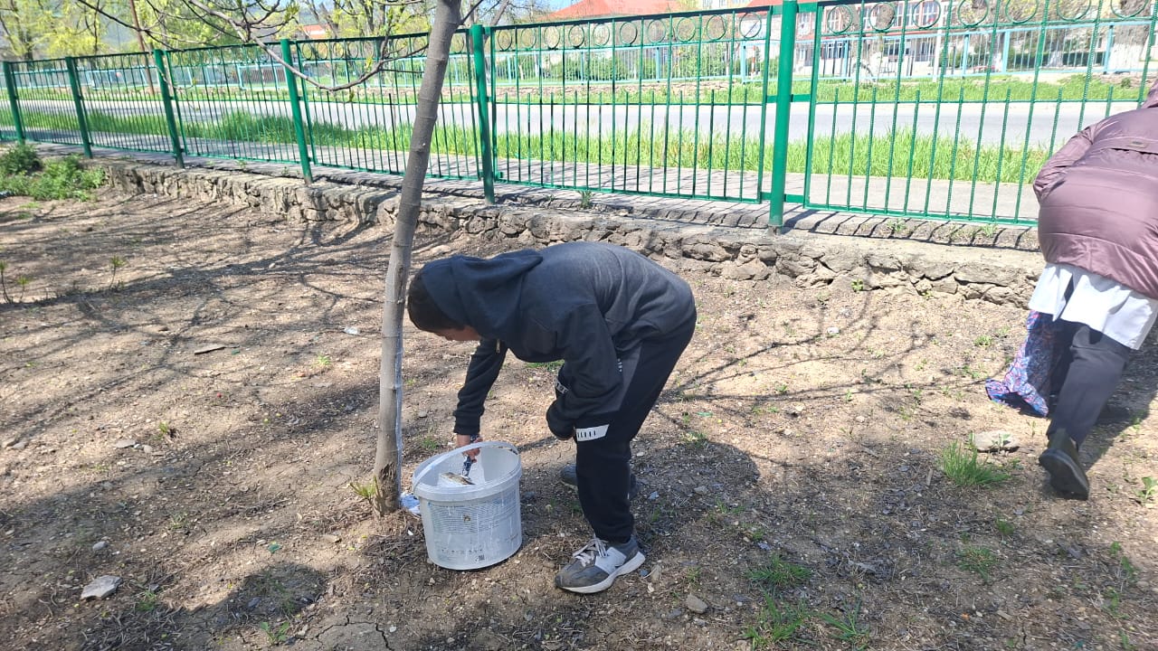 Экологический субботник «Побелка деревьев»