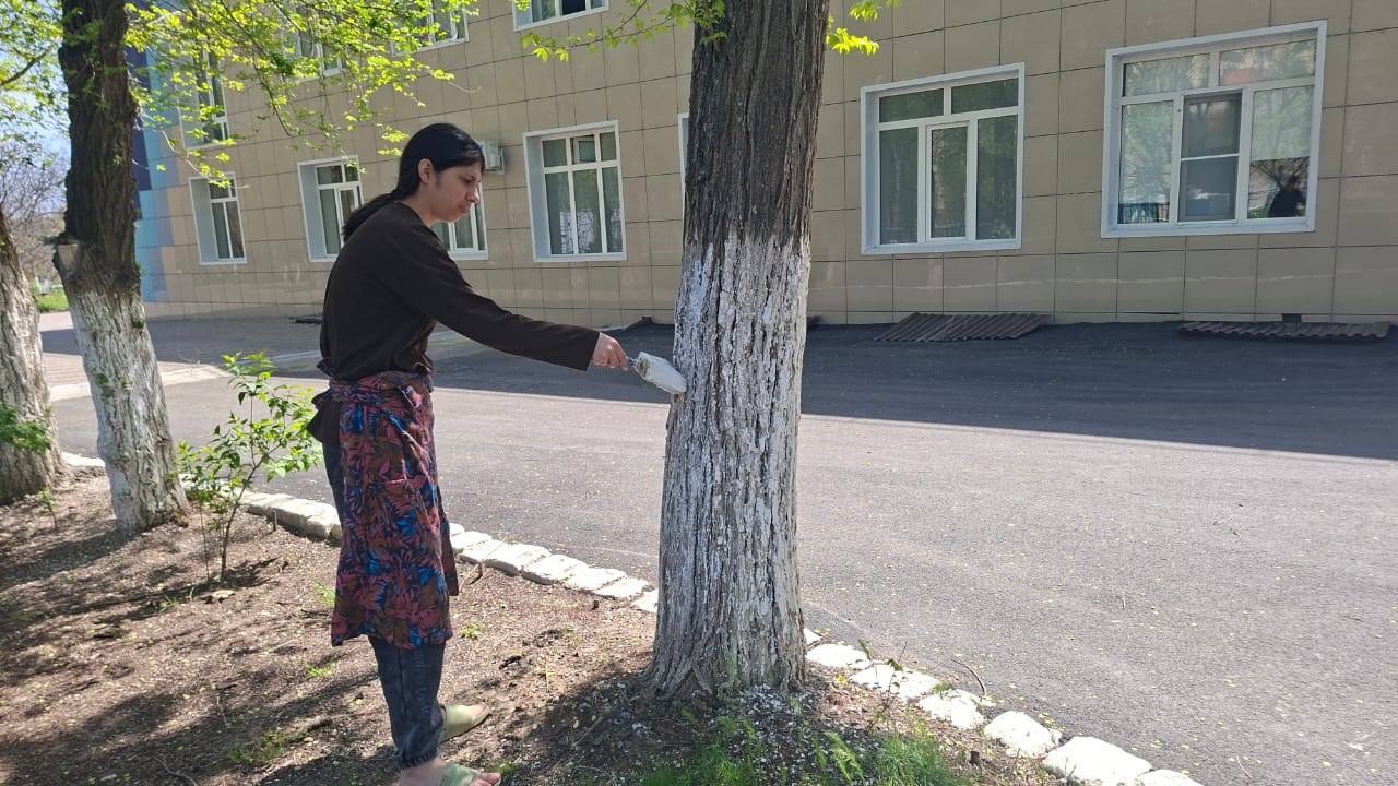 Экологический субботник «Побелка деревьев»