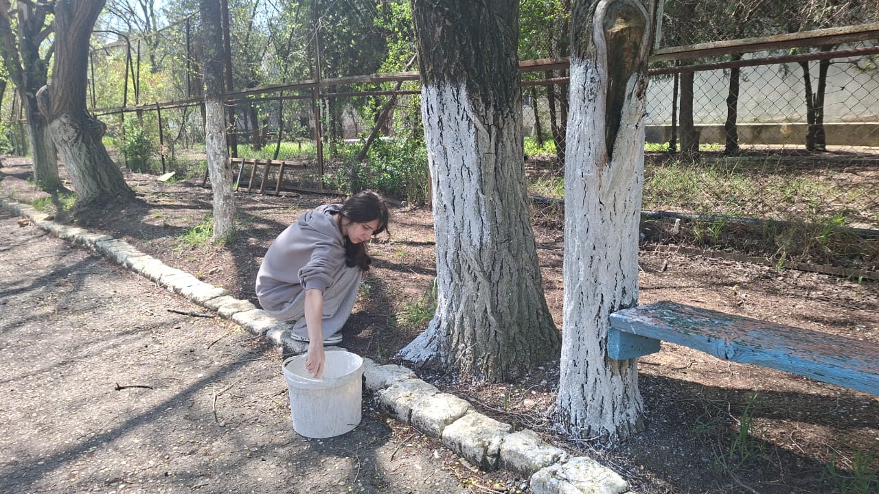 Экологический субботник «Побелка деревьев»
