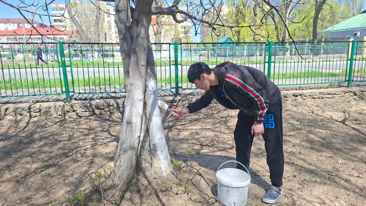 Экологический субботник «Побелка деревьев»
