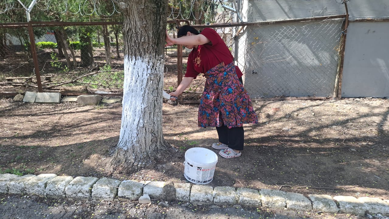 Экологический субботник «Побелка деревьев»