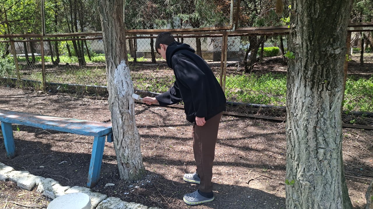 Экологический субботник «Побелка деревьев»