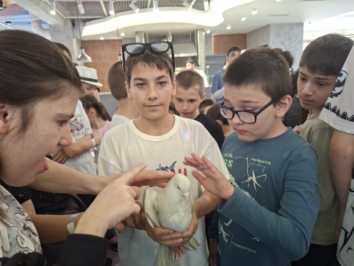 «Праздник счастья, праздник света, праздник мира, доброты, праздник радостного смеха, детской искренней души».